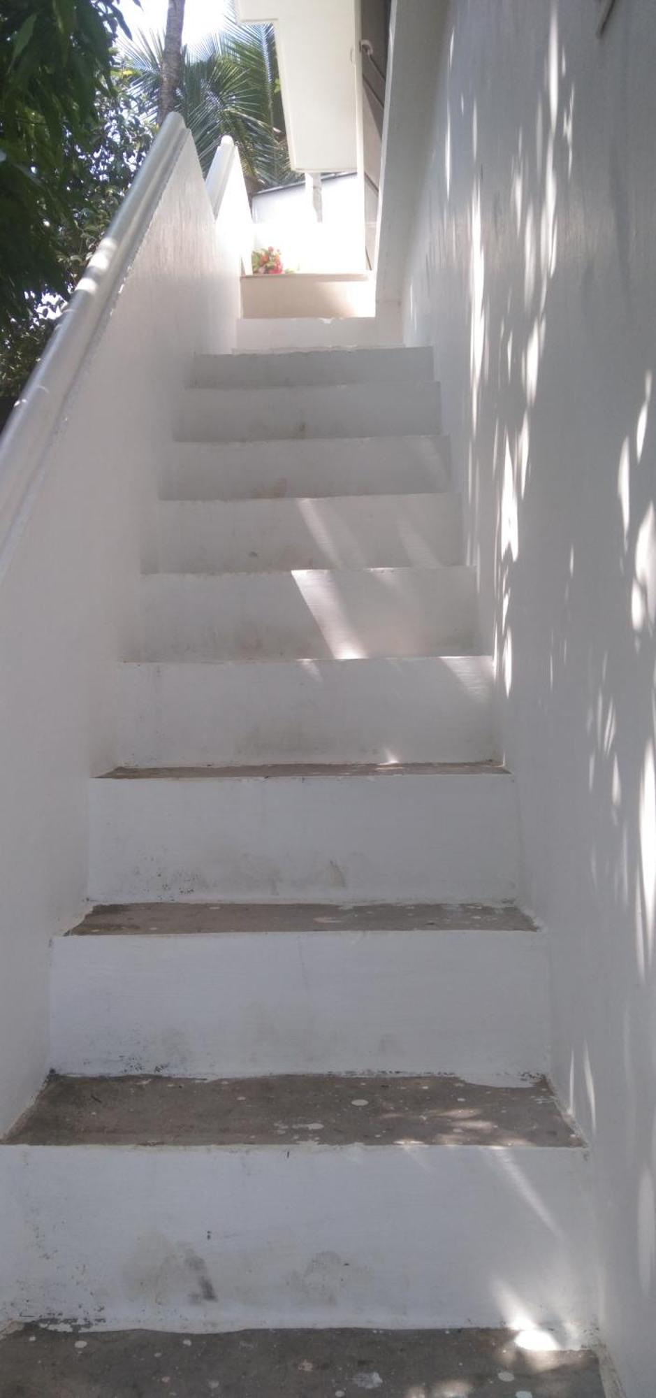 Jestine Homestay Kochi Extérieur photo